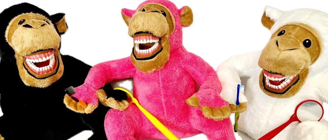 Sunray Dental - Di Hekimlii Ekipman ve Aksesuarlar